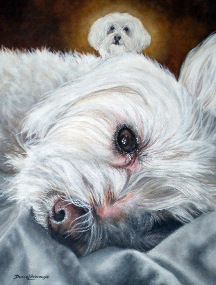 Acrylic  Painting of two Maltese companions by Donna Bobrowski.