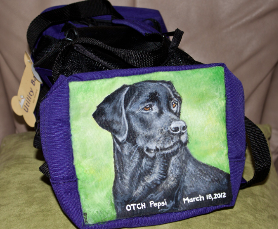 Agility Utility Bag Painted by Pet Portrait Artist Donna Bobrowskil