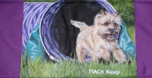 An Agility Chair Back Painted by Donna Bobrowski.